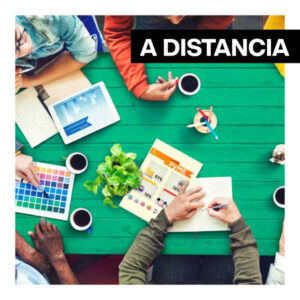 Diseño y administración de negocios creativos <br><b>Módulo II</b><br><b>Inicio: Junio</b>